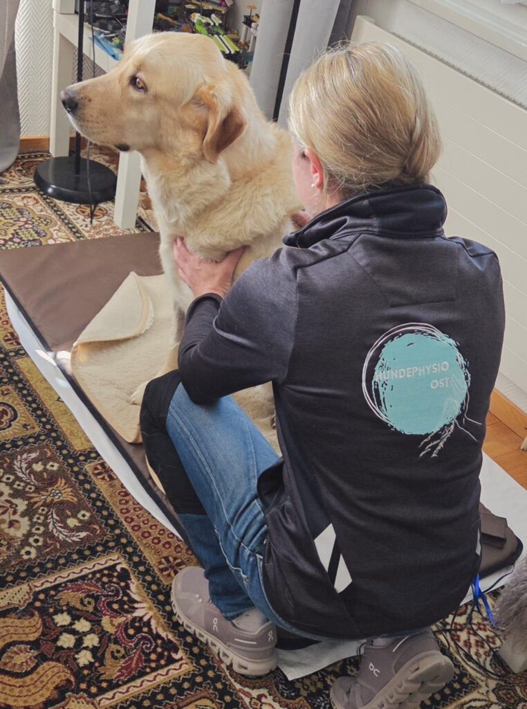 Hundephysio 2