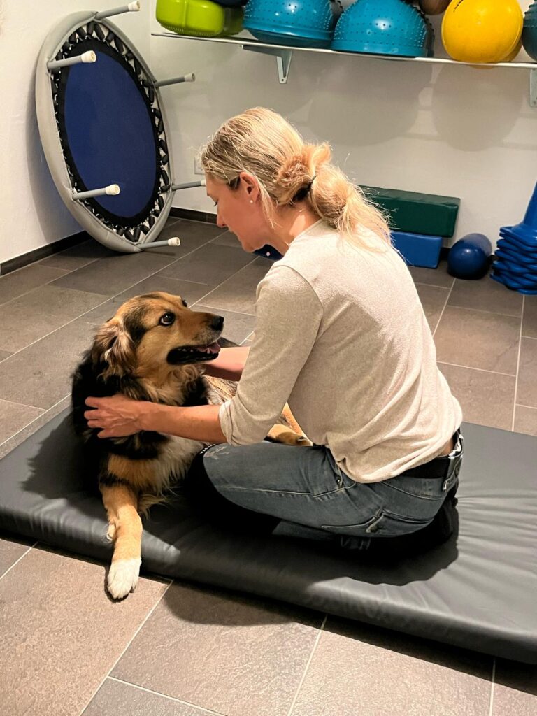 Hundephysio 3