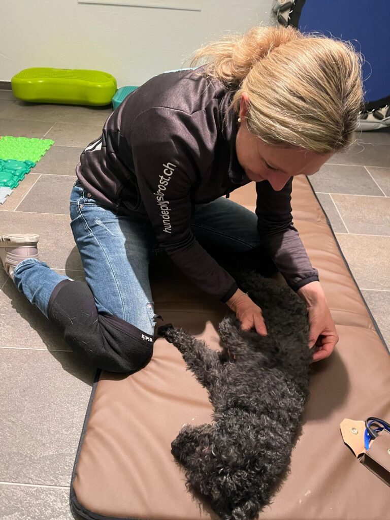 Hundephysio